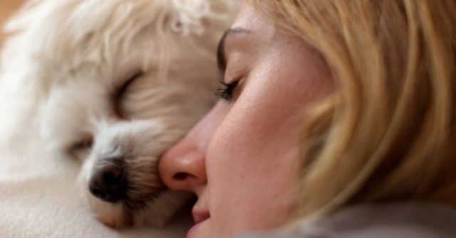 5-motivi-per-cui-dovresti-assolutamente-dividere-il-letto-con-il-tuo-cane45