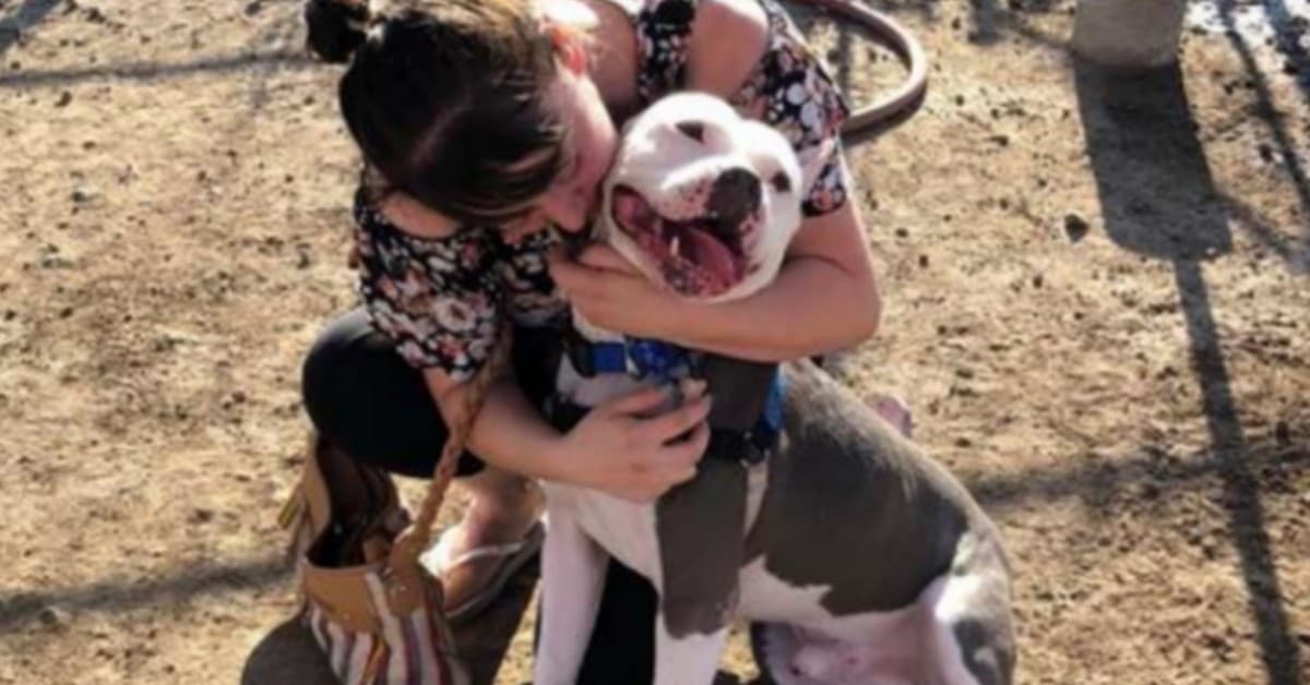 Lucy dopo tre anni rivede il suo amato cagnolino in un programma televisivo