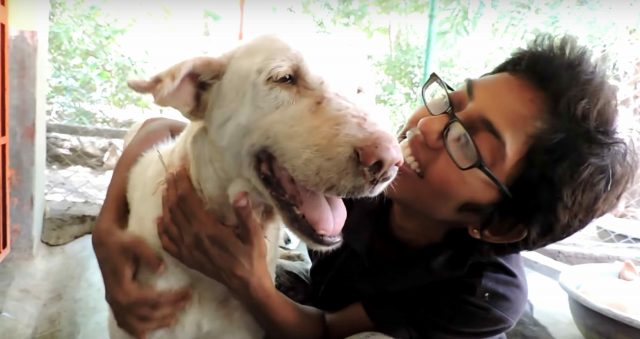 il-salvataggio-del-cane.in-condizioni-terribili 3