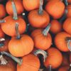 8-ricette-golose-con-la-zucca-da-provare