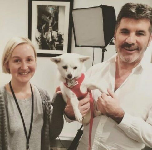 la-donazione-di-Simon-Cowell-per-la.fattoria-di-cani