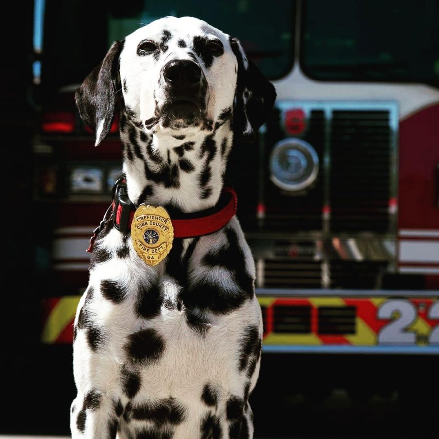 addio del pompiere al suo cane