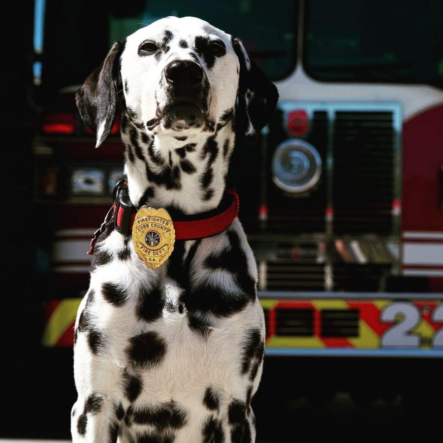 addio del pompiere al suo cane