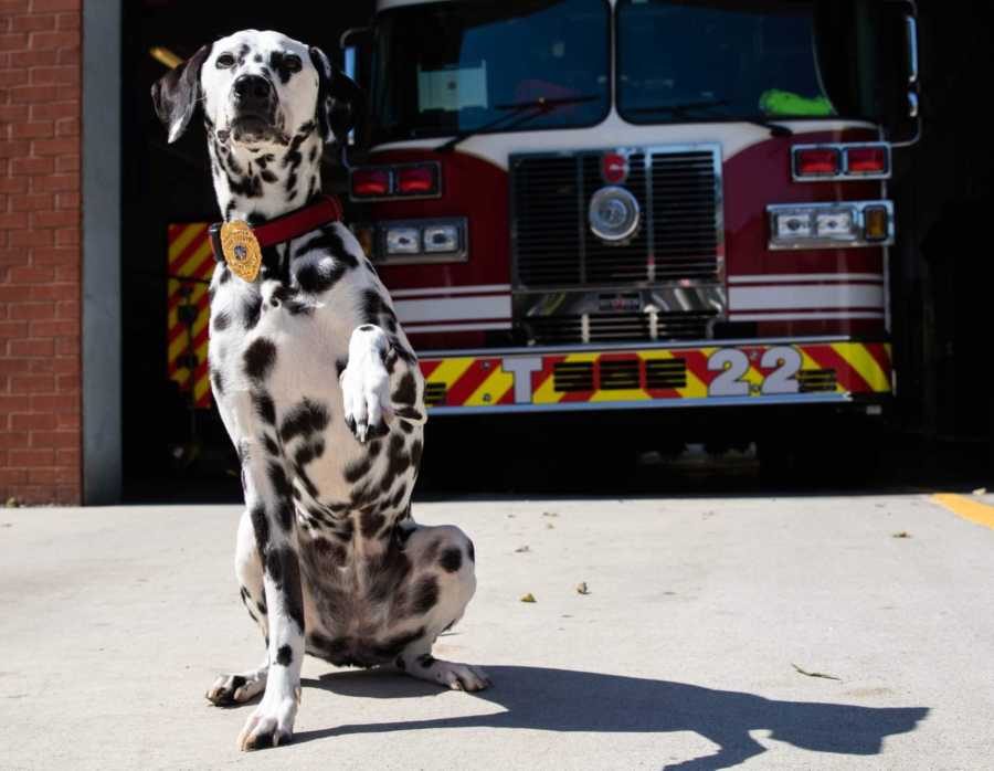 addio del pompiere al suo cane