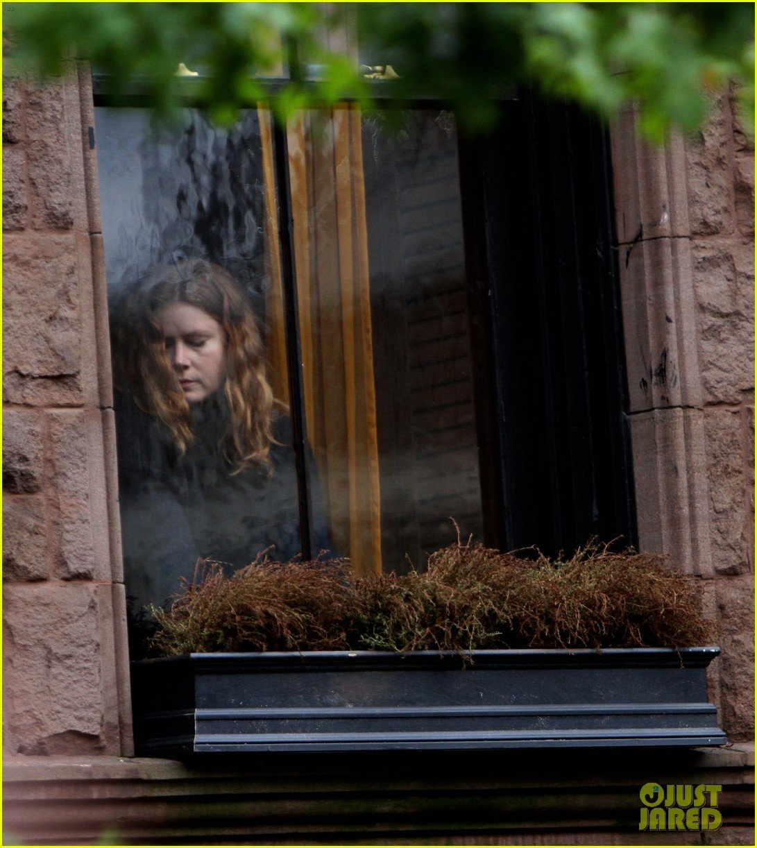 the-woman-in-the-window-prime-foto-amy-adams