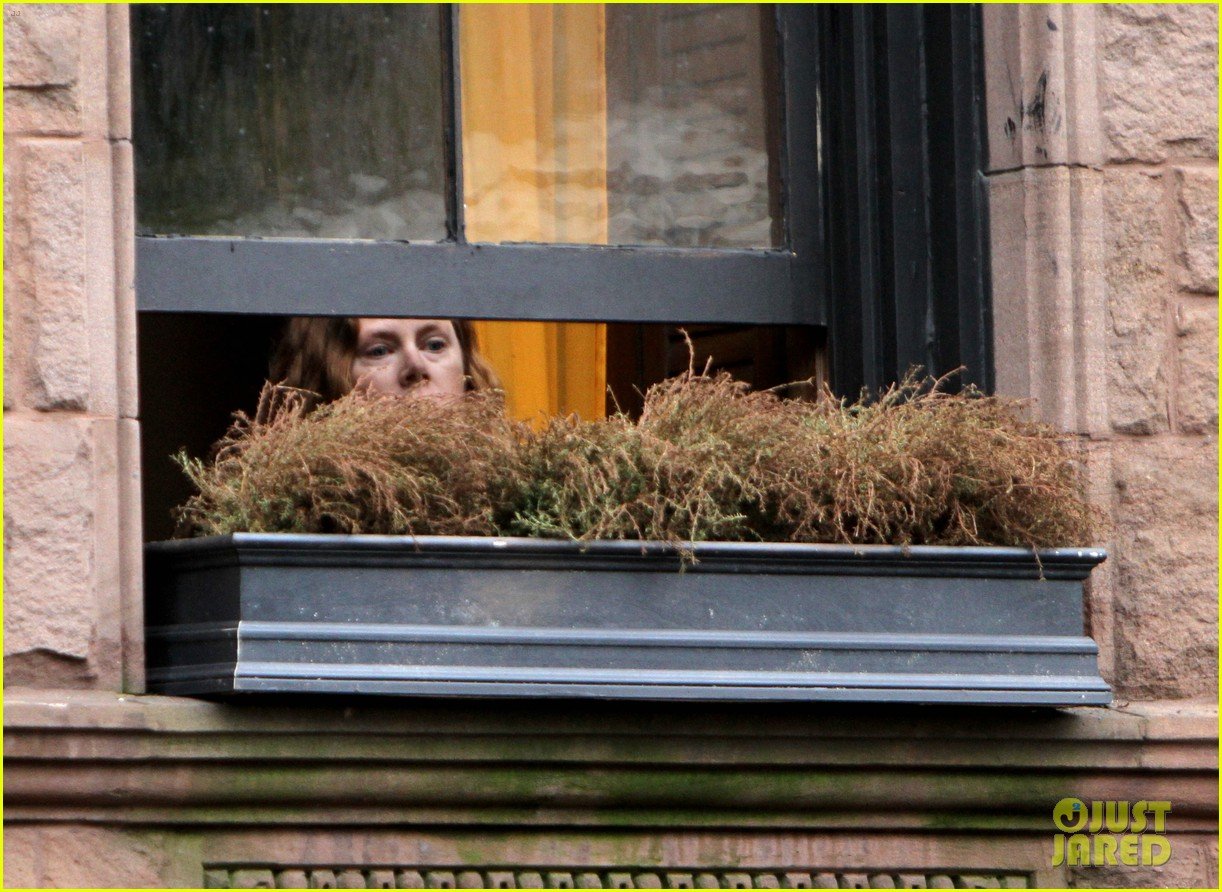 the-woman-in-the-window-prime-foto-amy-adams