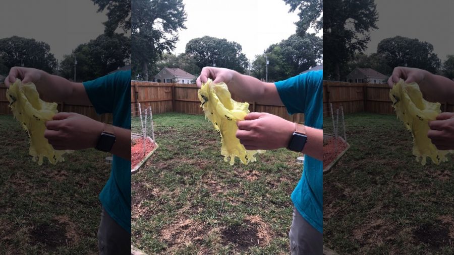 Cane rinchiuso in un sacchetto di plastica