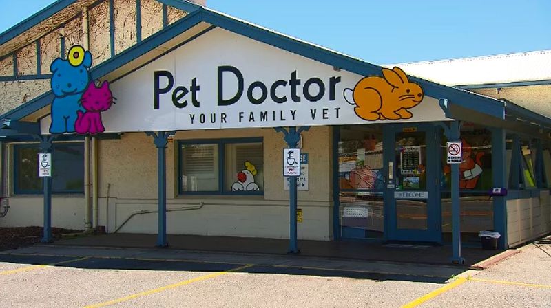 clinica veterinaria