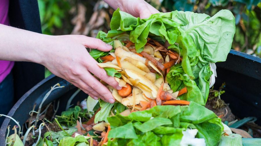 Come ridurre lo spreco alimentare