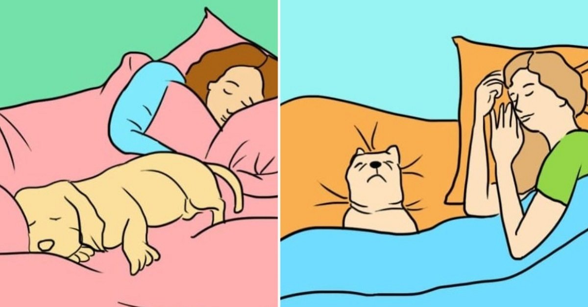 Dormire con il cane fa bene alla salute
