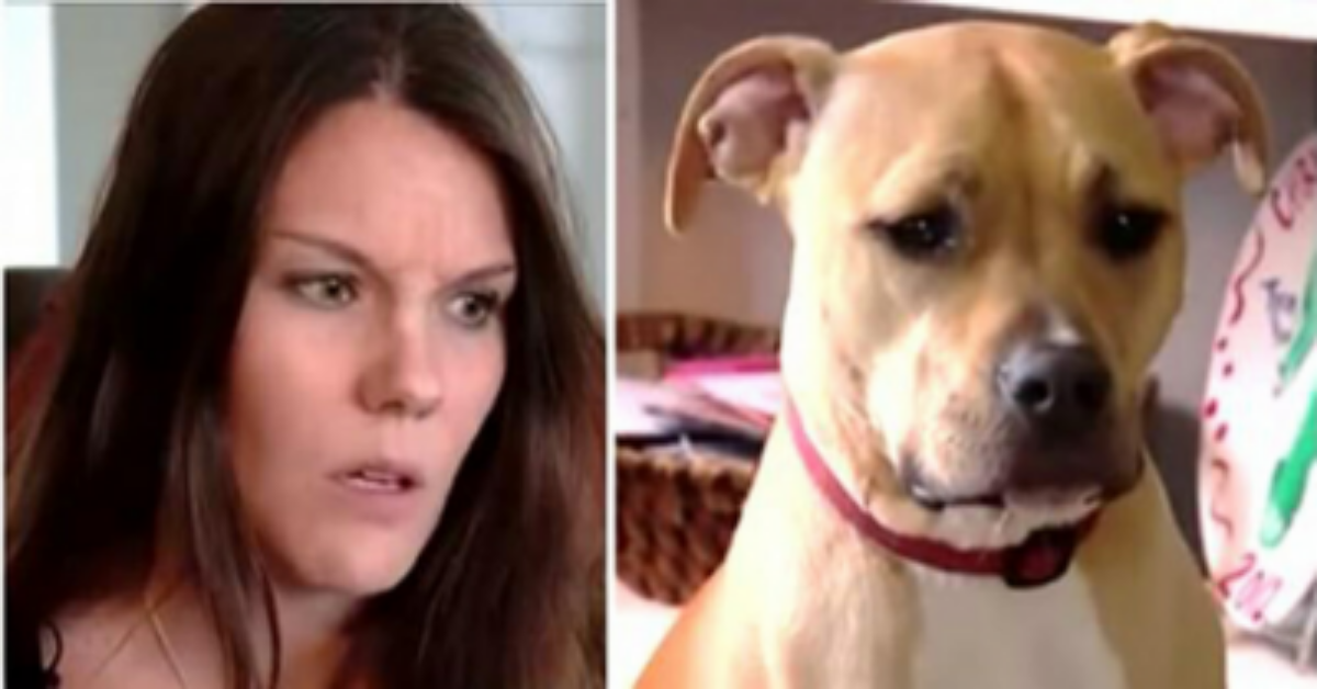 La storia di Ember, una cucciola di pitbull che ha cambiato la vita di una famiglia