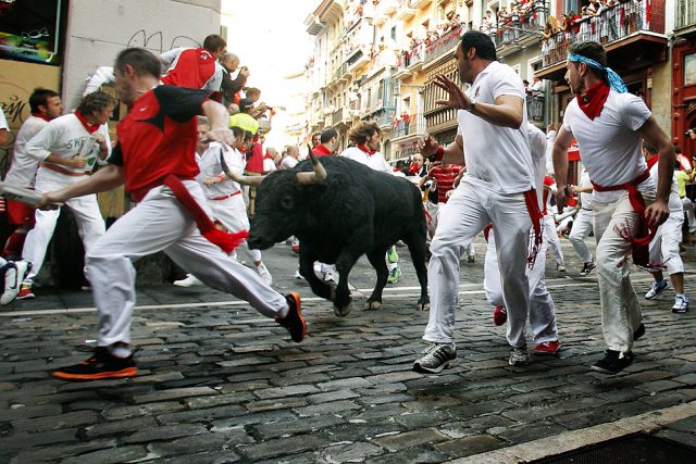 pamplona-tori