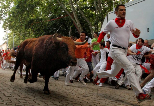 pamplona-toro