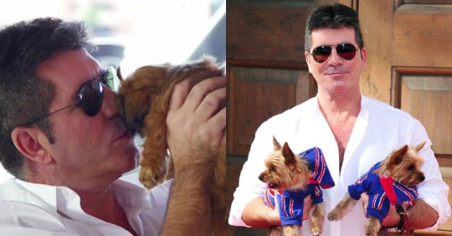 la-donazione-di-Simon-Cowell-per-la.fattoria-di-cani 2