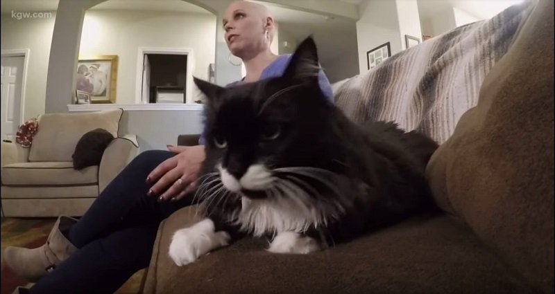 Può un gatto 'annusare' un cancro al seno? Secondo questa donna sì