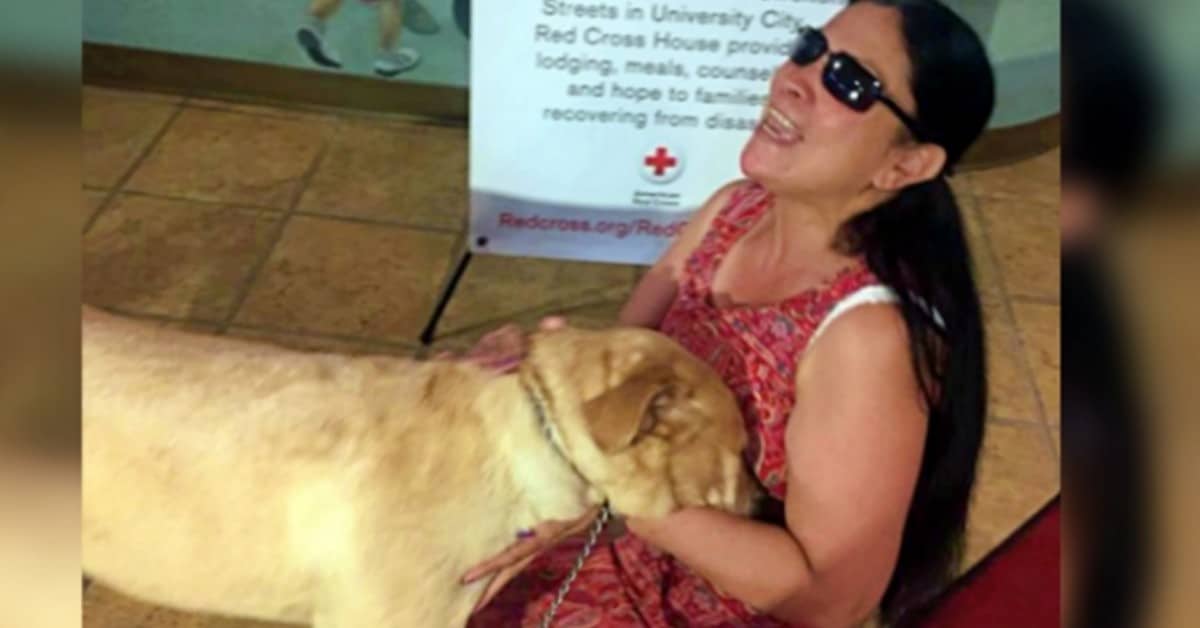 Yolanda, la cagnolina che ha salvato la vita della sua amica umana