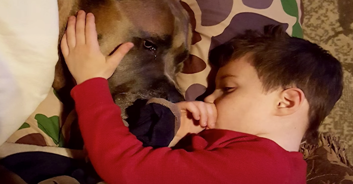 La storia di Grizzly e Luke