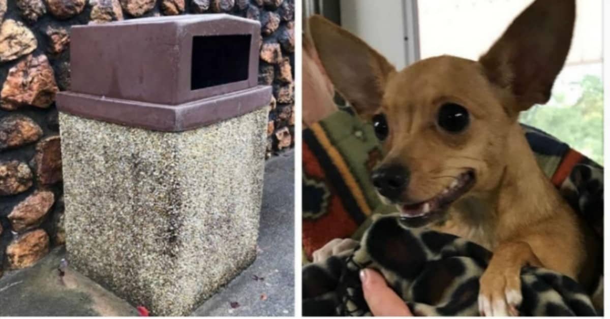 Il triste abbandono dell piccola Carolina