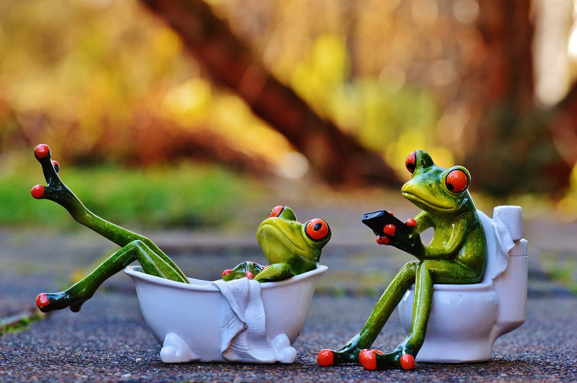 Oggi è il World Toilet Day 2018