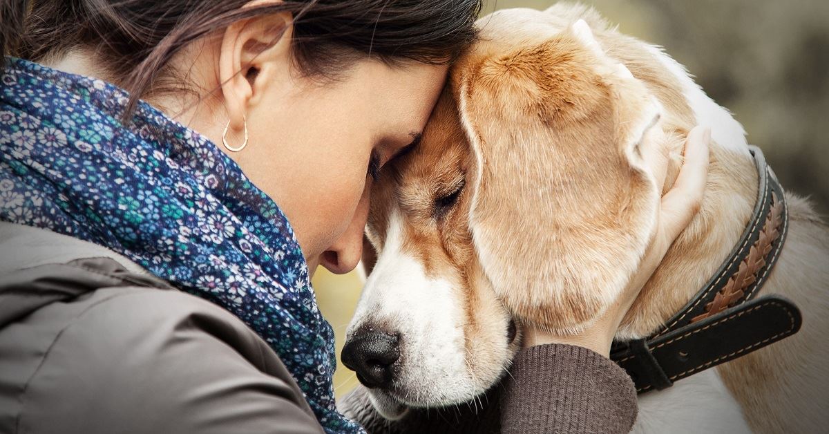 E’ morto il cane di Brindisi cosparso di benzina