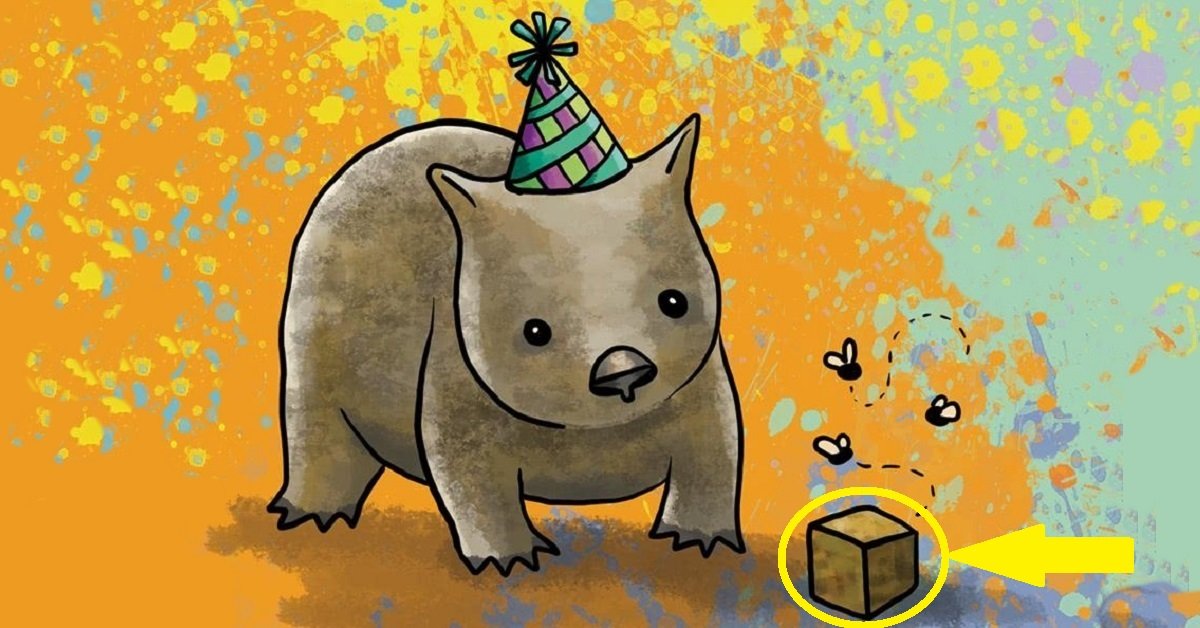 Perché la cacca del wombat è a cubetti?