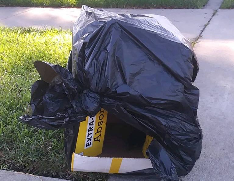 Coppia trova cucciolo dentro a un sacco della spazzatura