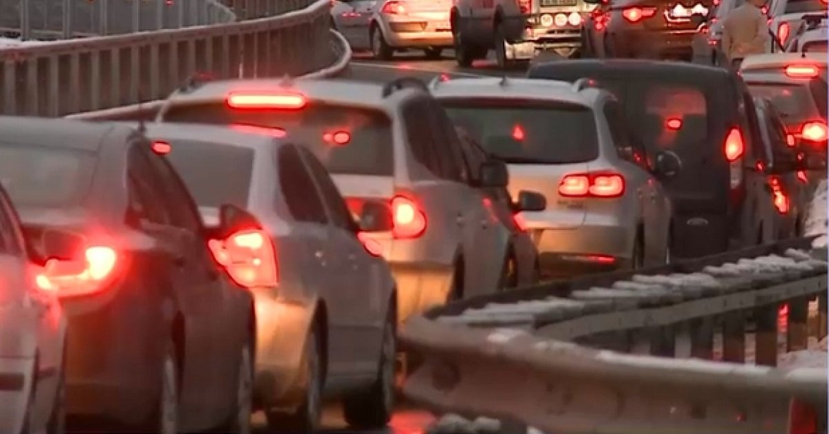 Cane lanciato dall’auto a Nichelino