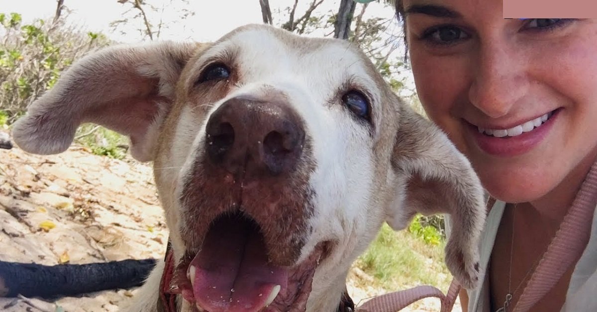 Cane vive 7 anni in un rifugio finché una famiglia non arriva a salvarlo