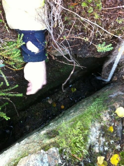 cane incastrato tra le rocce