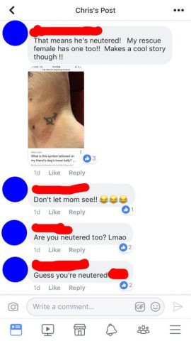 chat-tatuaggio