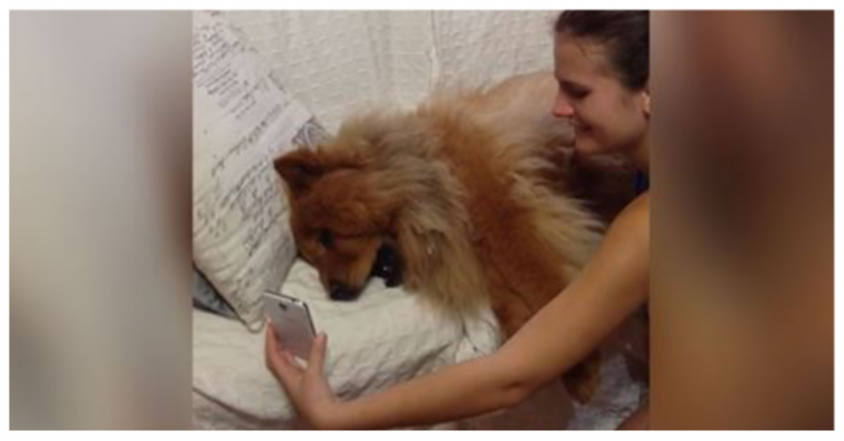 L’inaspettata chiamata per il dolce Chow Chow