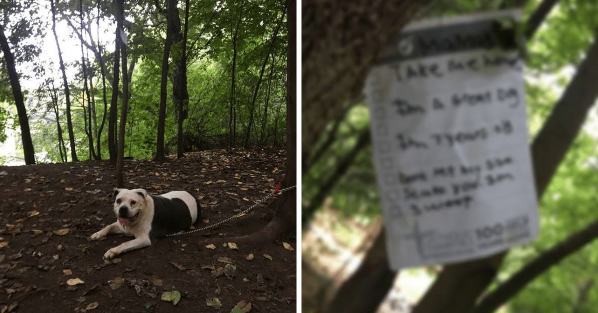 Mamas, abbandonata legata ad un albero, con un biglietto