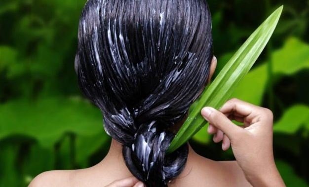 aloe vera- capelli- crescita