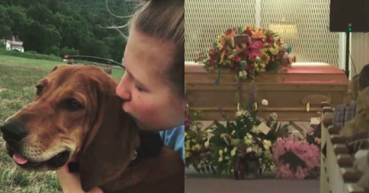 Ragazzina di dodici anni muore con il suo cane