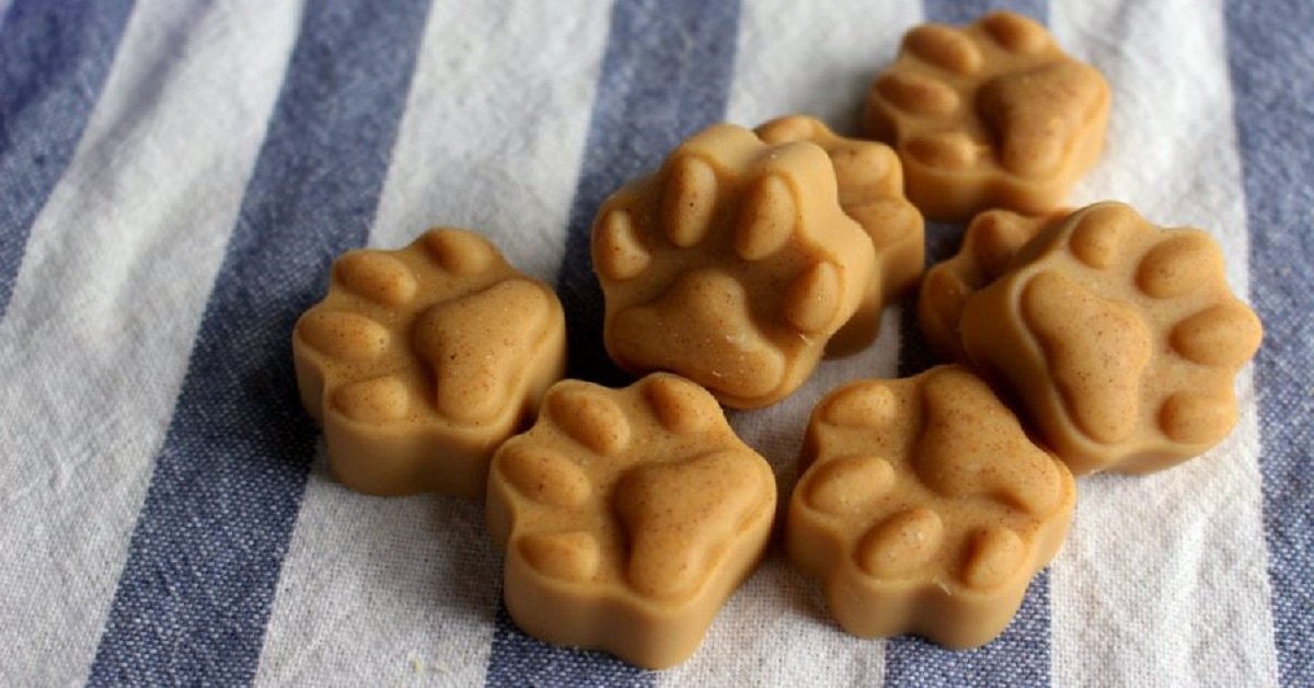 Trucchi per mantenere sano e bello il pelo del tuo cucciolo