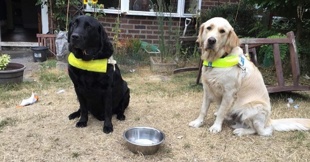 Uomo disabile costretto a rinunciare al suo cane guida per una regola assurda