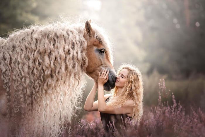 Storm, il cavallo dalla chioma d'oro che chiamano Rapunzel