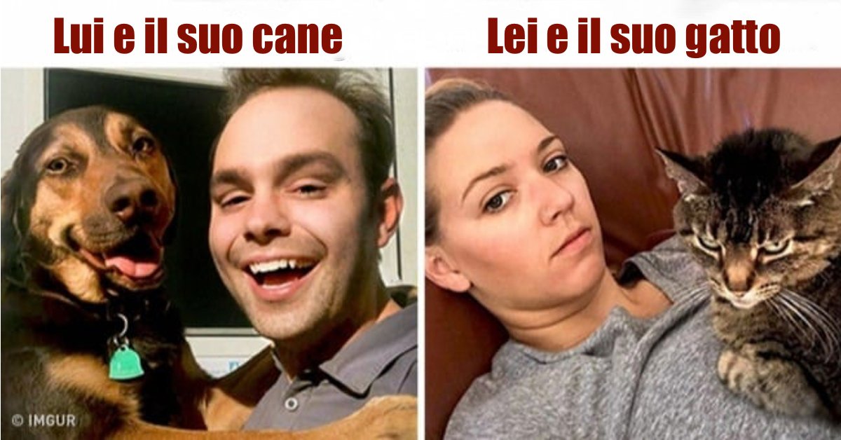 12 foto che dimostrano la differenza tra cani e gatti