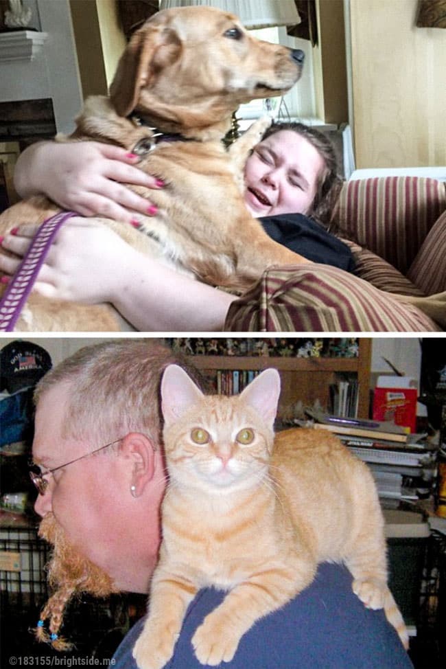 13 foto che dimostrano la differenza tra cani e gatti