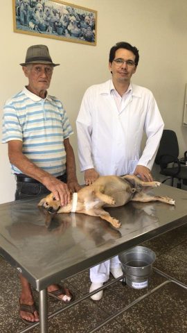 Quello-che-ha-fatto-Sue-per-il-cagnolino-abbandonato 1