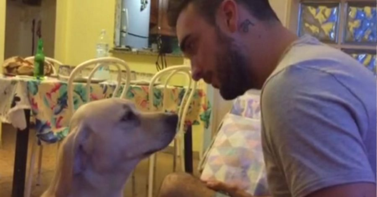 Cane colpevole chiede scusa al padrone nel più dolce dei modi