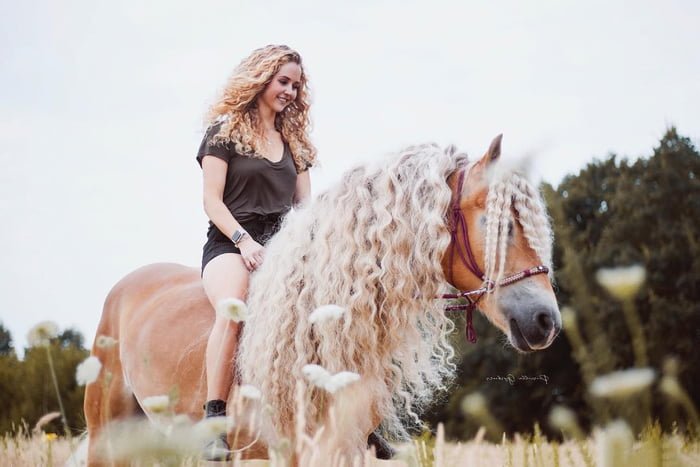 Storm, il cavallo dalla chioma d'oro che chiamano Rapunzel