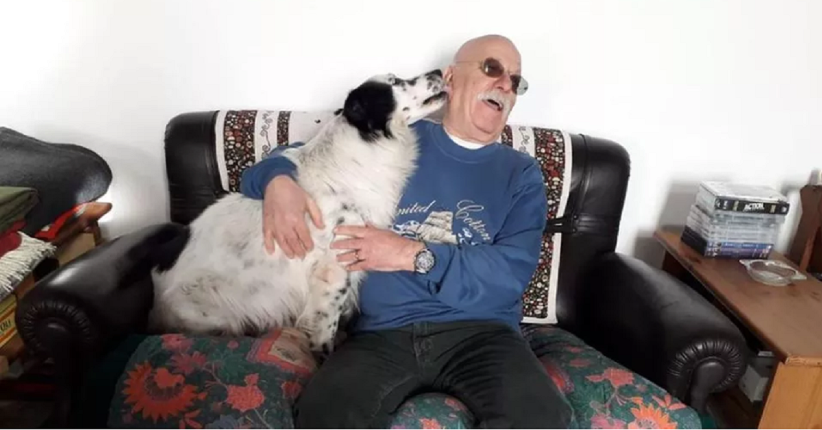 Pensionato settantunenne si tuffa nella laguna di Venezia per salvare il suo cane
