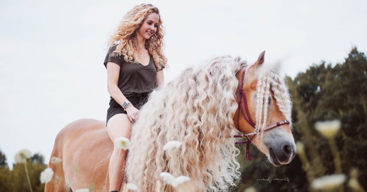 Storm, il cavallo dalla chioma d’oro che chiamano Rapunzel
