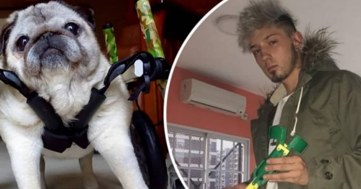 Alejandro, colui che utilizza i suoi studi sugli animali