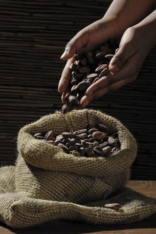 cacao-benefici
