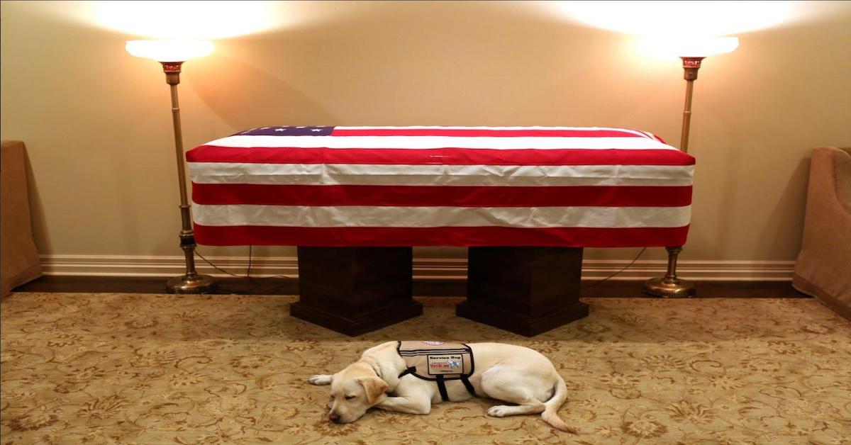 Il cane di Bush veglia la sua bara