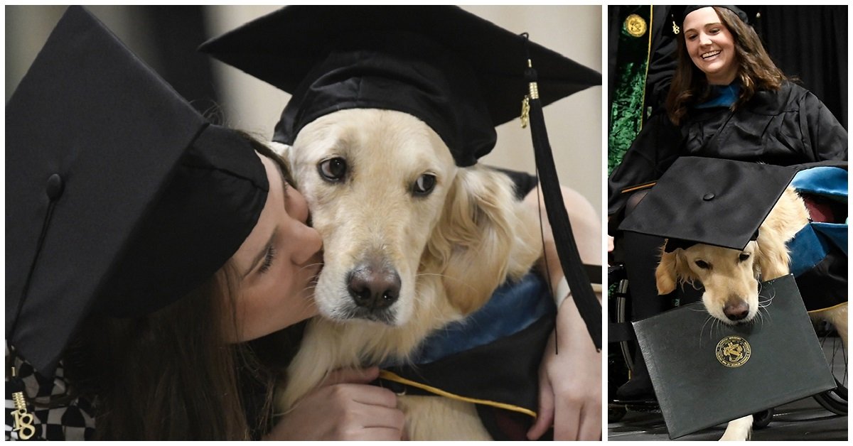 Cane prende una laurea insieme alla sua amica bipede