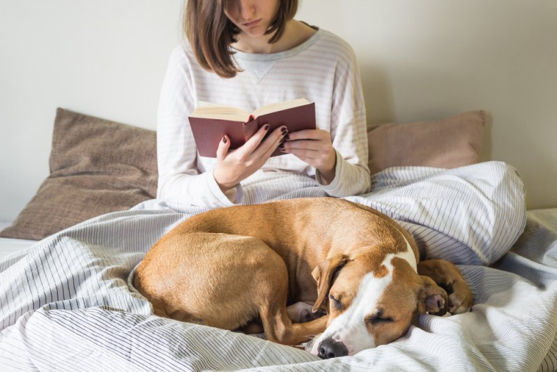 Cane fiuta il cancro della sua padrona e le salva la vita