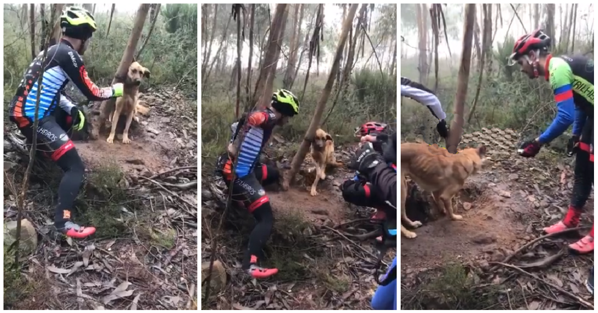 Ciclisti salvano un cane legato nel bosco